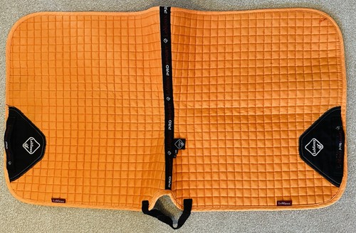 Lemieux prosport dressur - lemieux,