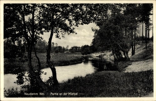 Dębno neudamm neumark - neudamm,