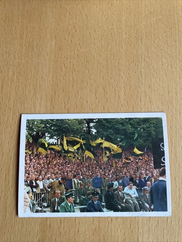 Bergmann 1966 6 borussia - 6,