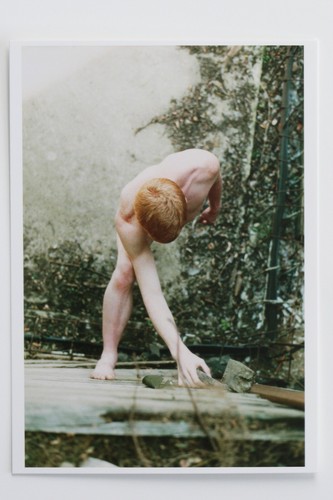 Wolfgang tillmans dan - :, "dan"