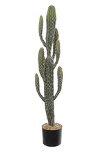 Artplants deko kaktus san - artplants,