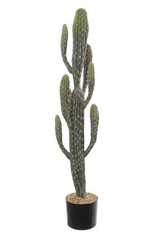 Artplants deko kaktus - deko, san