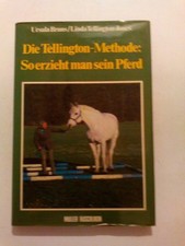 How To Care For My Horse Over