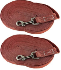 2x 10m Hundeleine Schleppleine