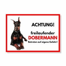 Dobermann Kupiert
