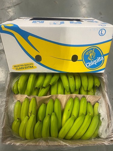 Bananen chiquita frisch - ,