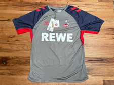 1. FC Köln Staff Trainings