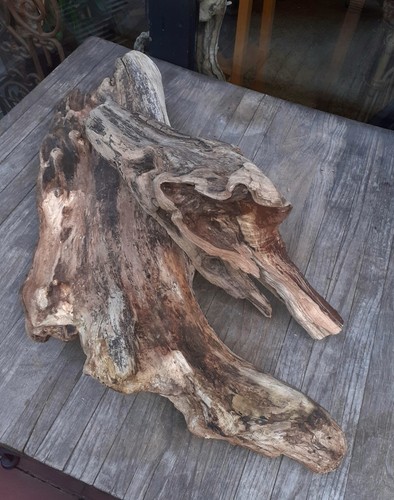 Treibholz schwemmholz - xl,