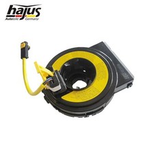 Original Hajus Schleifring