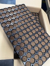 EazyPlug 104CR Steckling Tray