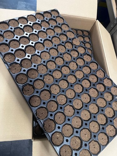 Eazyplug 104cr steckling tray - 104cr,