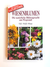 (984) Wiesenblumen