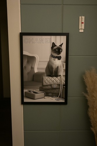Chanel katze bild mit - bild, rahmen