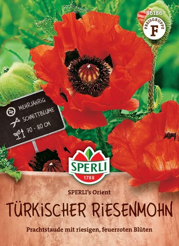Türkischer riesenmohn - türkischer, "