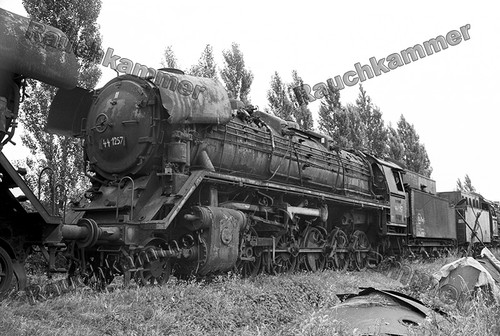 Fotoabzug 10x15 44 - 44, 1257