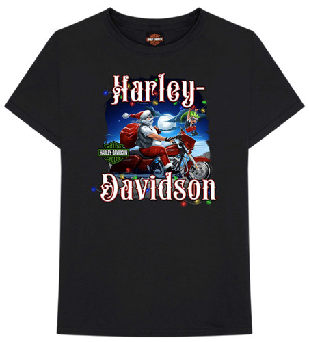 Harley davidson joy rider - harley,