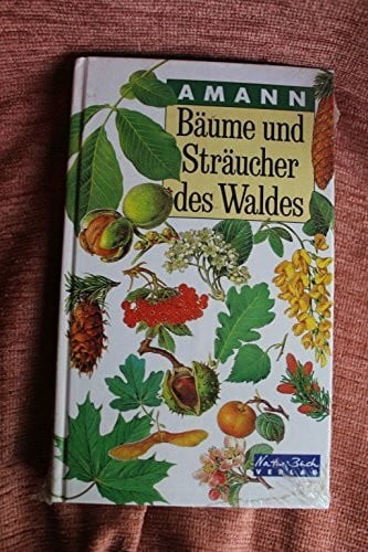 Bäume und sträucher des - bäume,