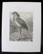 Antiker Holzstich Sekretär