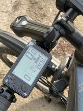 Riverside 500E-Bike Herren von