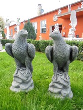 Adler auf felsen - 2,