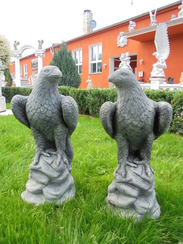 Adler auf felsen - auf,