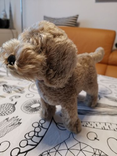 Original steiff hund dackel - original,