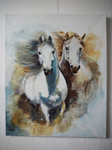 Zwei weiße wildpferde 50x60 - zwei,