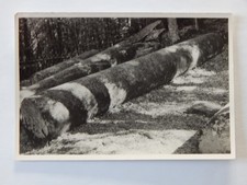 Aufnahme Karl Brössler: Die Heunensäulen Haineberg Miltenberg 2040