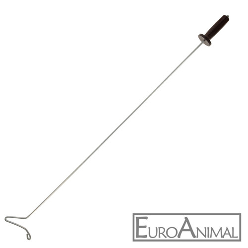 Geflügel hühner enten gänse - hühner,