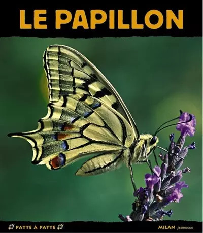 Papillon patrick lorne - papillon,