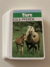 Edle Pferde Quartett, 32