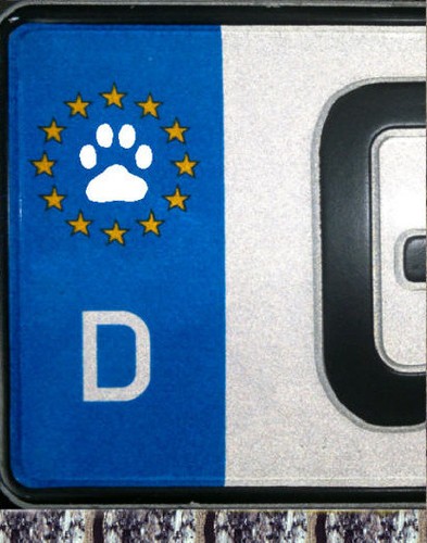Stück hunde pfote tatze - 2,