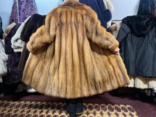 Fuchsmantel Kanadischer