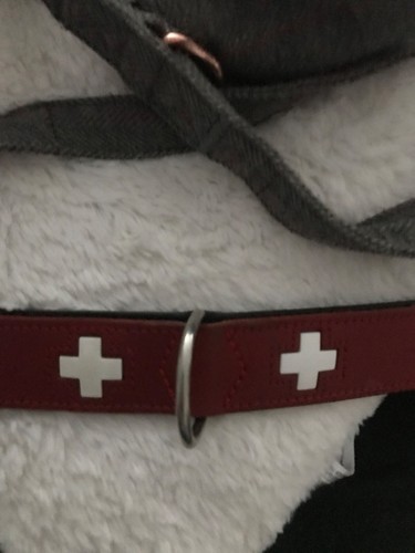 Hundehalsband leder swiss - hundehalsband,
