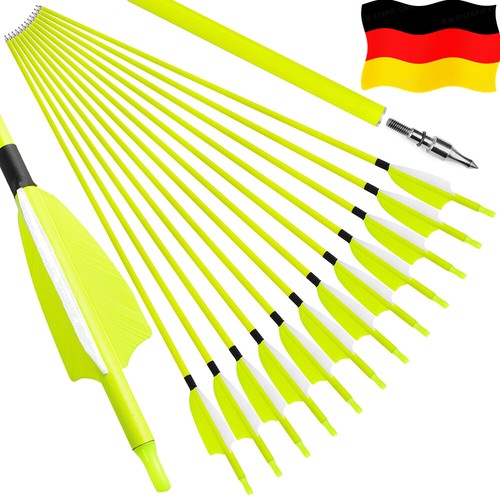 12x carbonpfeile - carbonpfeile, 30"