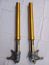 +++ Öhlins Gabel FL 9110 aus/für Ducati Monster 1200 (2014 - 2016) neuwertig +++