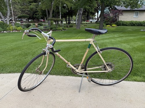 1970s pegasus vintage speed - 10,