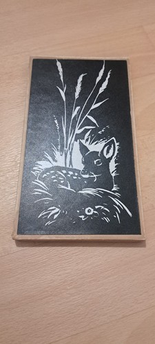 Reh rehkitz - reh,,