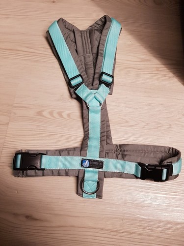 Annyx geschirr grau - annyx, grau-mint