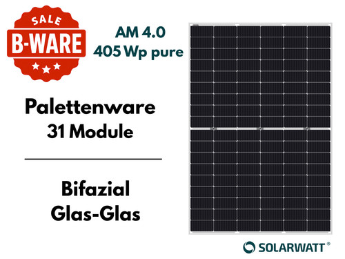 Solarwatt panel vision - panel, 4.0