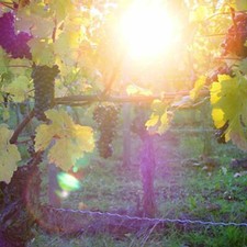 3* Hotel Angebot Dettelbach