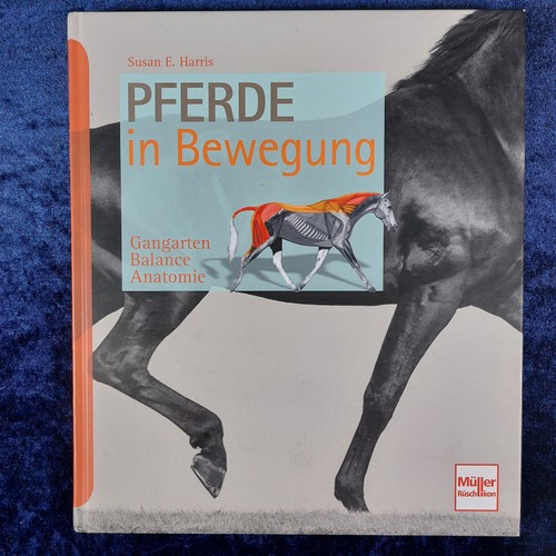 Pferde bewegung - pferde,