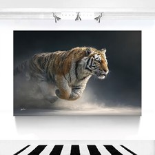 XXL Leinwand Bild Tiger Natur
