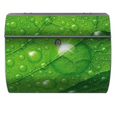 Briefkasten Blatt Tau Wasser Lotos Lotus Effekt Regen Tropfen Perle Natur Wetter