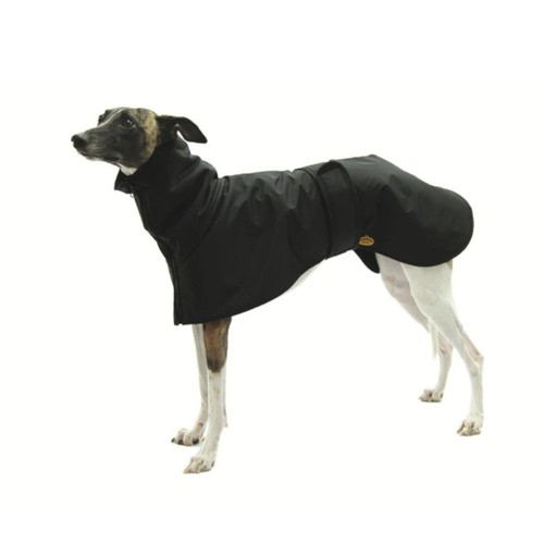 Fashion dog eleganter - fashion,