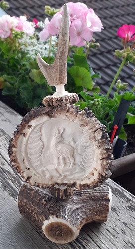 Hirschhornrose geschnitzte - hirschhornrose,,