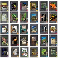 TERRARIA | Verschiedene