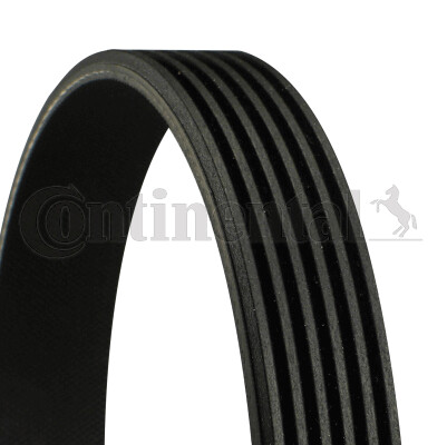 Continental ctam 6pk1285 - continental,