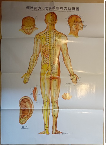 Akupunktur poster papier - ,