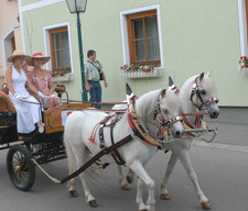 Handgefertigtes Kummetgeschirr